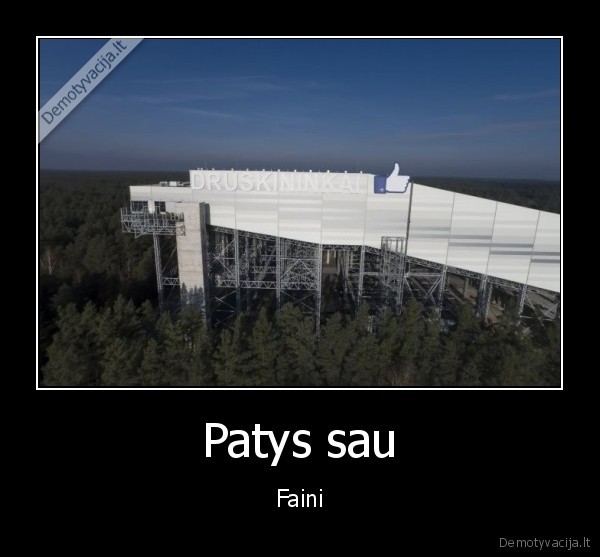 Patys sau - Faini