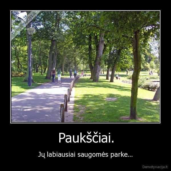 Paukščiai. - Jų labiausiai saugomės parke...