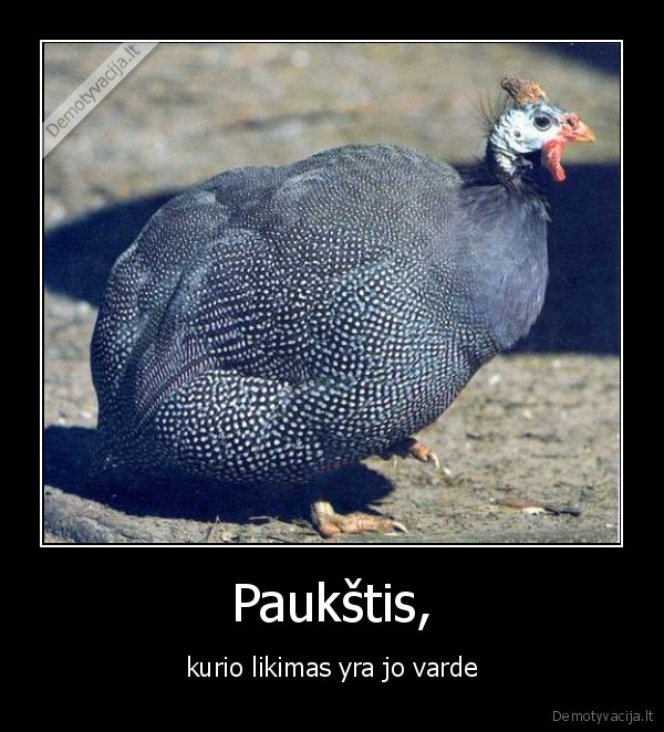 Paukštis, - kurio likimas yra jo varde