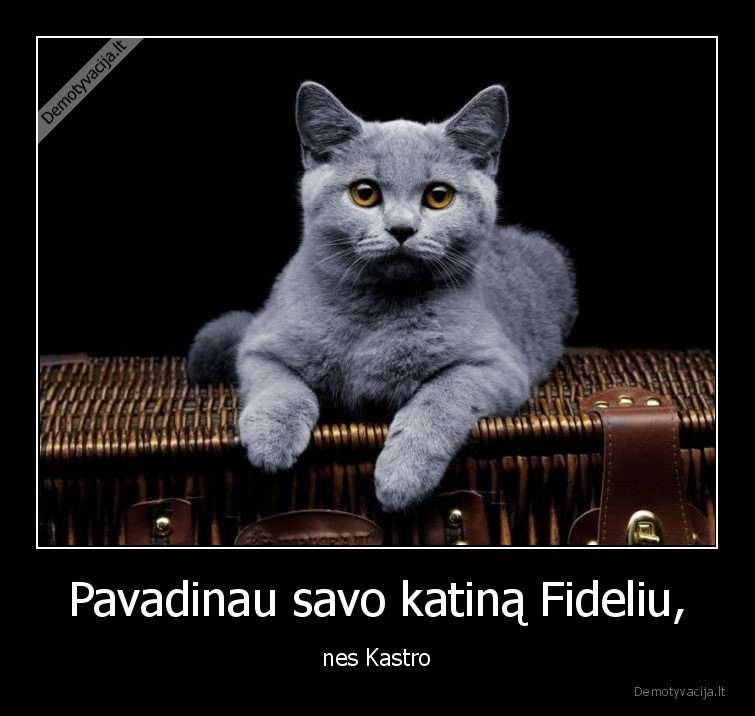 Pavadinau savo katiną Fideliu, - nes Kastro