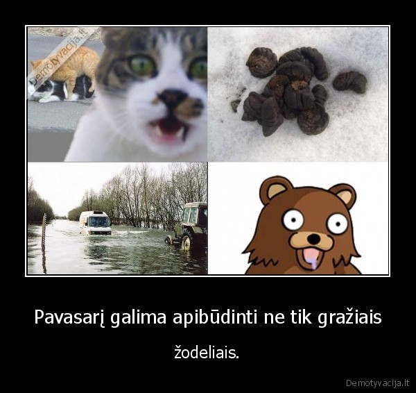 Pavasarį galima apibūdinti ne tik gražiais - žodeliais.