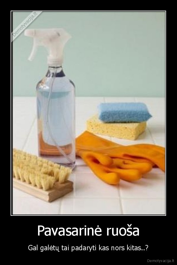 Pavasarinė ruoša - Gal galėtų tai padaryti kas nors kitas..?