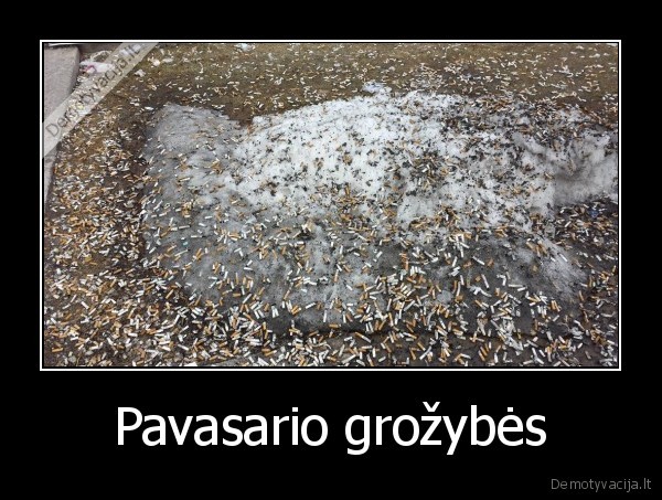 Pavasario grožybės - 