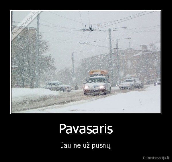 Pavasaris - Jau ne už pusnų