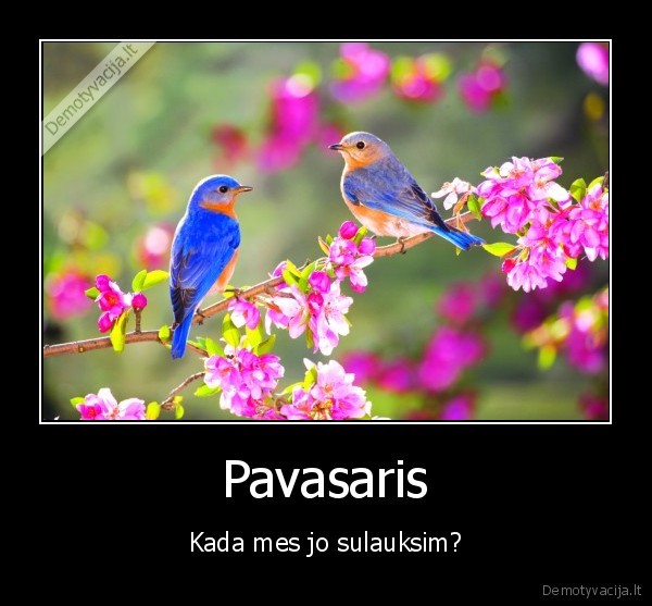 Pavasaris - Kada mes jo sulauksim?