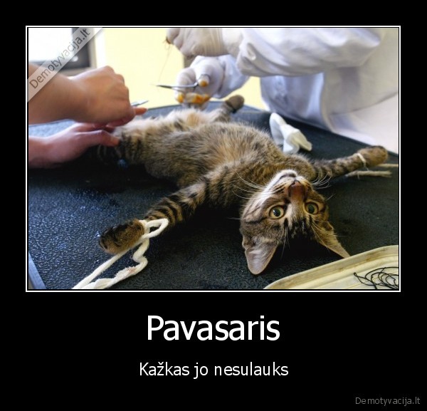 Pavasaris - Kažkas jo nesulauks