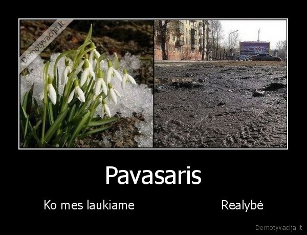 Pavasaris - Ko mes laukiame                       Realybė