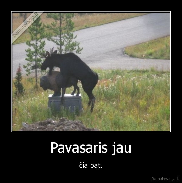 Pavasaris jau - čia pat.