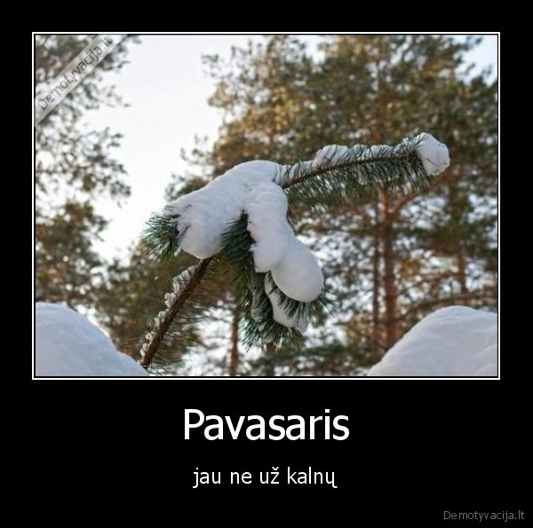 Pavasaris - jau ne už kalnų