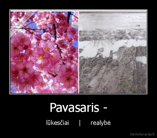 Pavasaris - - lūkesčiai     |     realybė