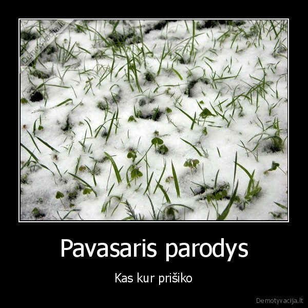 Pavasaris parodys - Kas kur prišiko