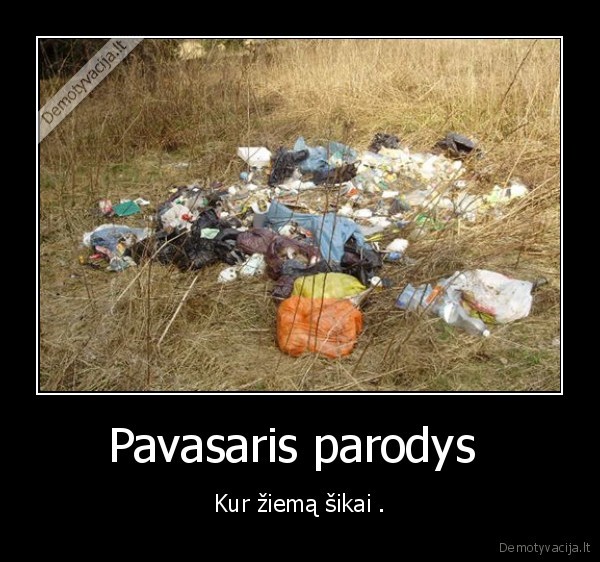 Pavasaris parodys  - Kur žiemą šikai .