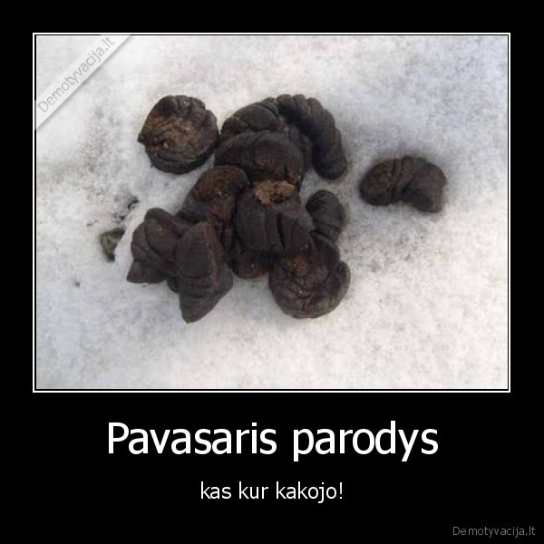 Pavasaris parodys - kas kur kakojo!