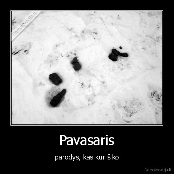 Pavasaris - parodys, kas kur šiko