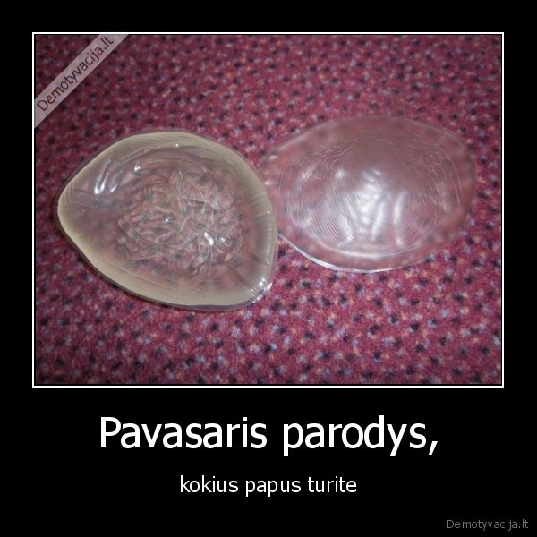 Pavasaris parodys, - kokius papus turite