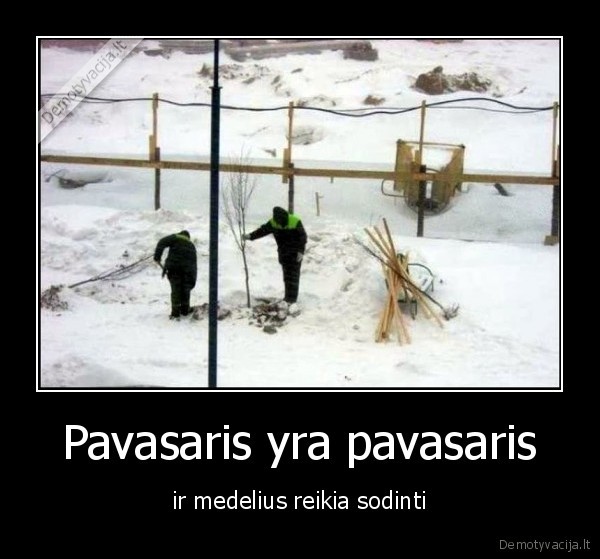 Pavasaris yra pavasaris - ir medelius reikia sodinti