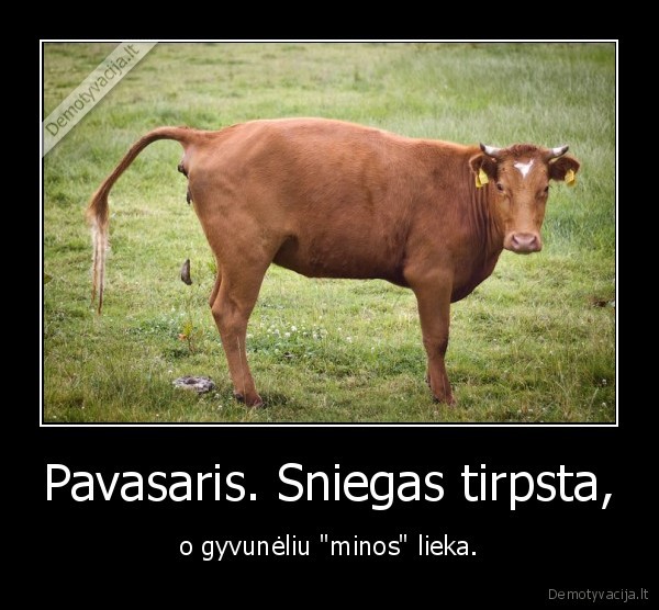 Pavasaris. Sniegas tirpsta, - o gyvunėliu "minos" lieka.