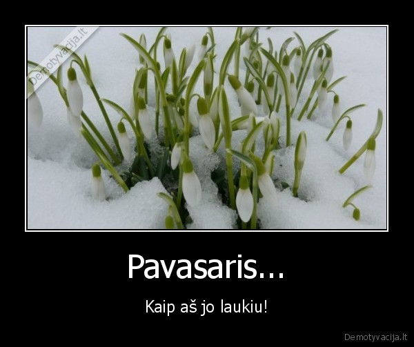 Pavasaris... - Kaip aš jo laukiu!