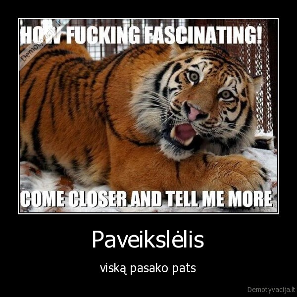 Paveikslėlis - viską pasako pats