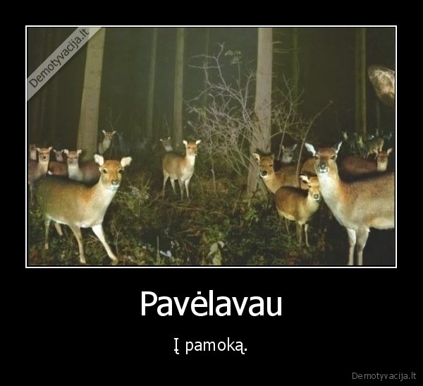 Pavėlavau - Į pamoką.