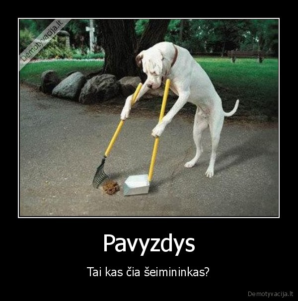 Pavyzdys - Tai kas čia šeimininkas?