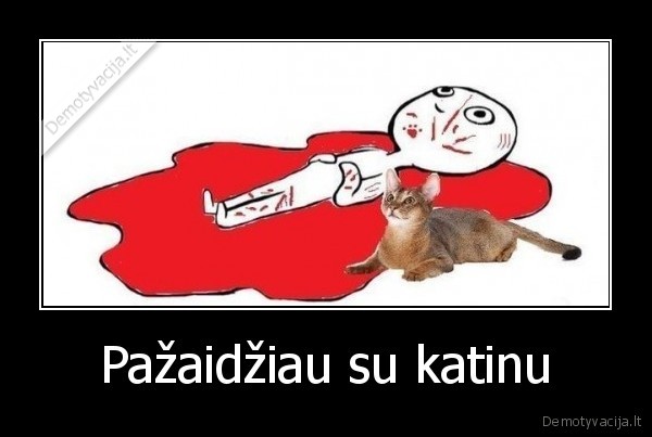 Pažaidžiau su katinu - 