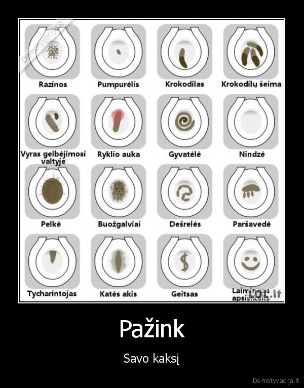 Pažink - Savo kaksį