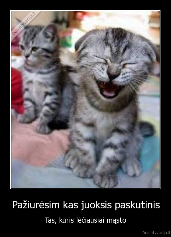 Pažiurėsim kas juoksis paskutinis - Tas, kuris lėčiausiai mąsto