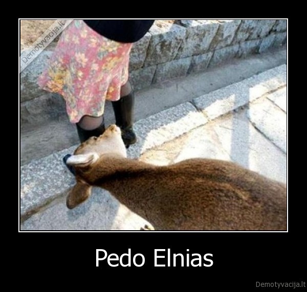 Pedo Elnias - 