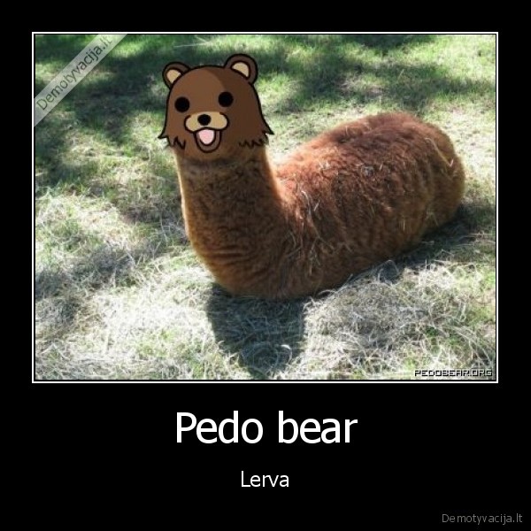 Pedo bear - Lerva