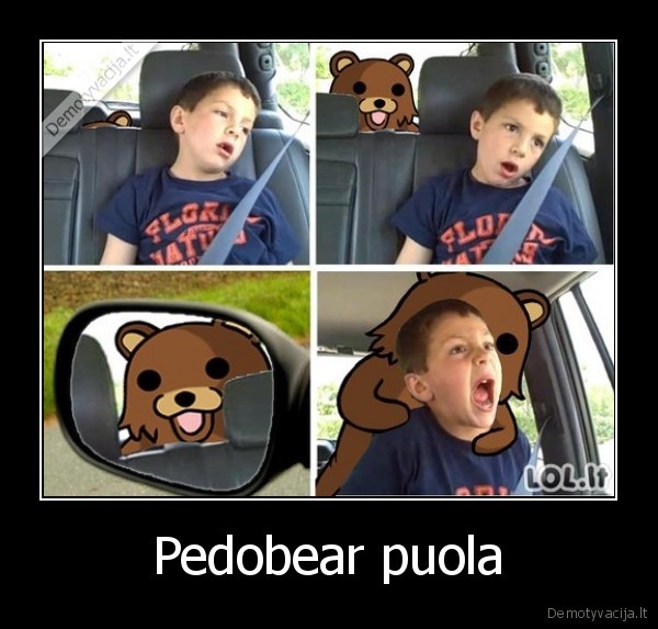 Pedobear puola - 