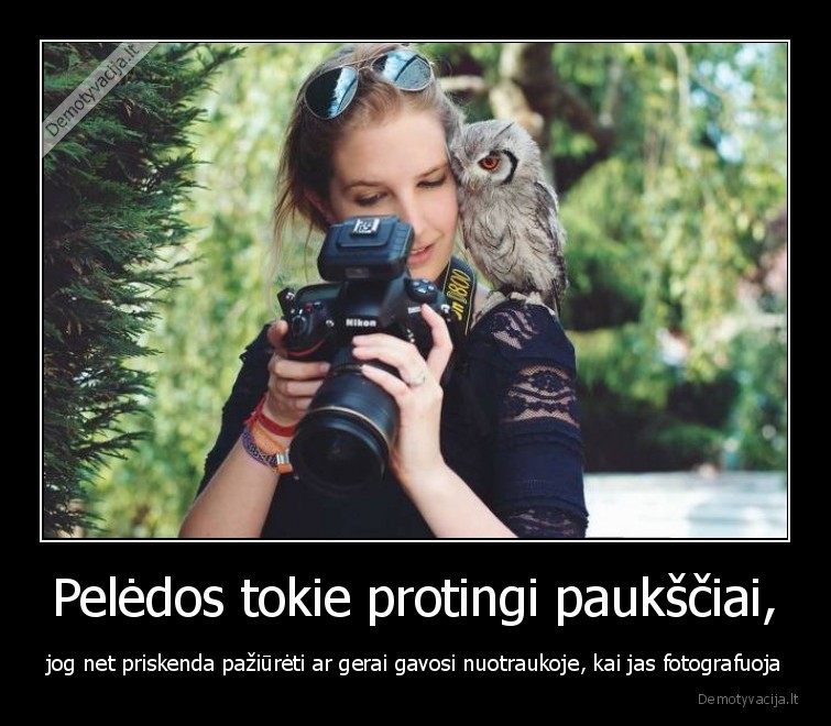 Pelėdos tokie protingi paukščiai, - jog net priskenda pažiūrėti ar gerai gavosi nuotraukoje, kai jas fotografuoja