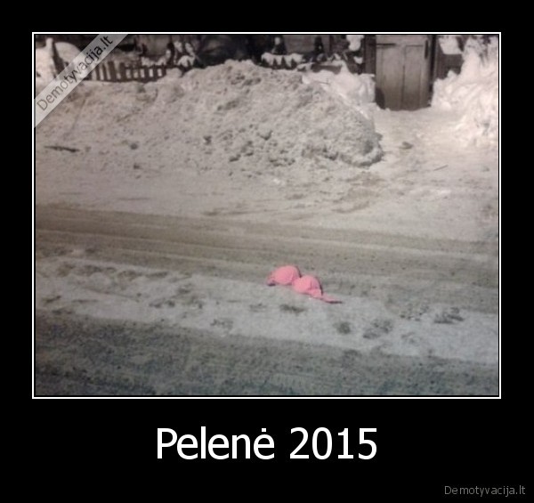 Pelenė 2015 - 