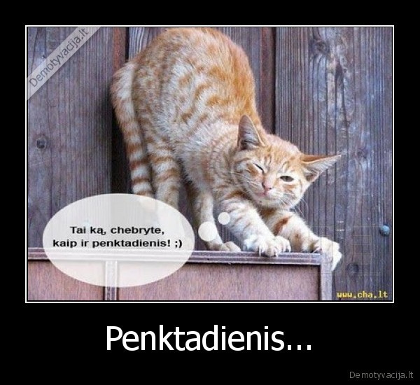 Penktadienis... - 