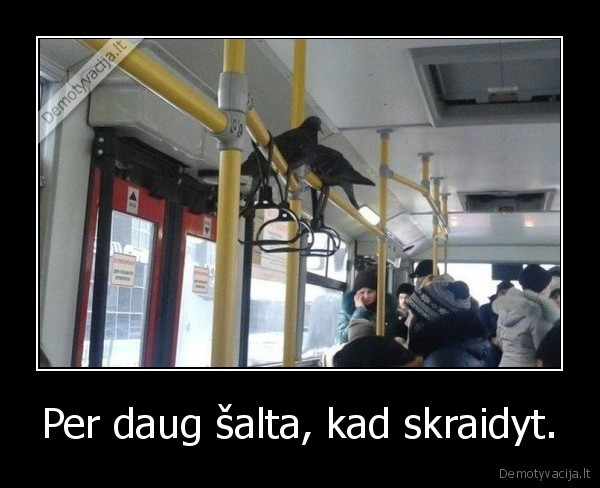 Per daug šalta, kad skraidyt. - 