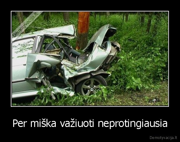 Per miška važiuoti neprotingiausia - 