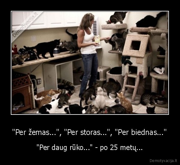 "Per žemas...", "Per storas...", "Per biednas..." - "Per daug rūko..." - po 25 metų...