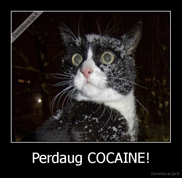 Perdaug COCAINE! - 