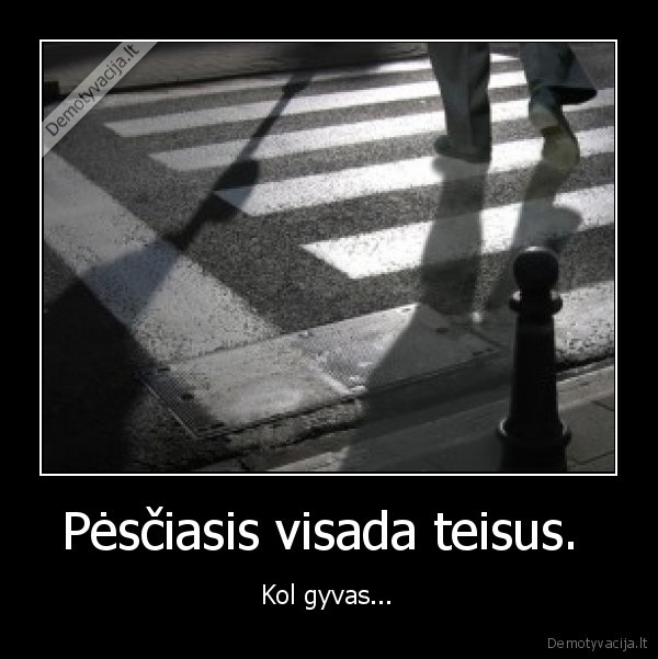 Pėsčiasis visada teisus.  -  Kol gyvas... 