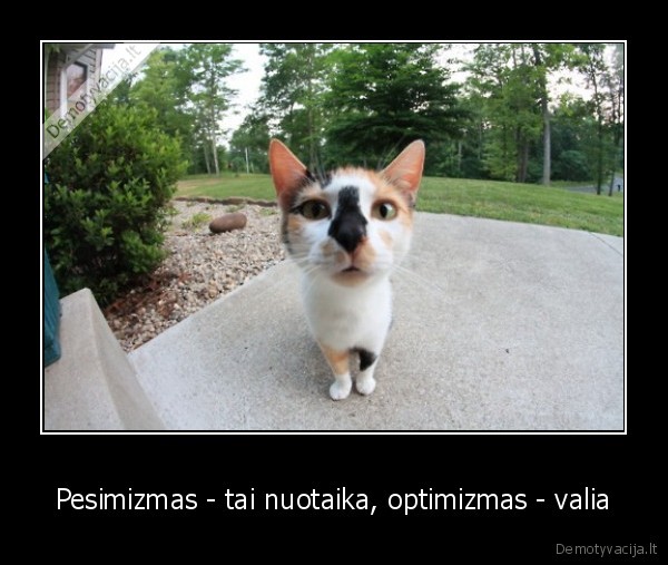 Pesimizmas - tai nuotaika, optimizmas - valia - 