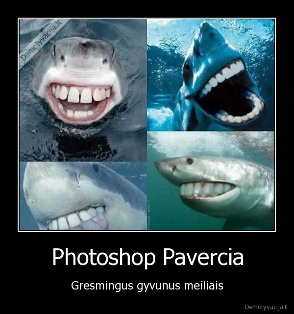 Photoshop Pavercia - Gresmingus gyvunus meiliais