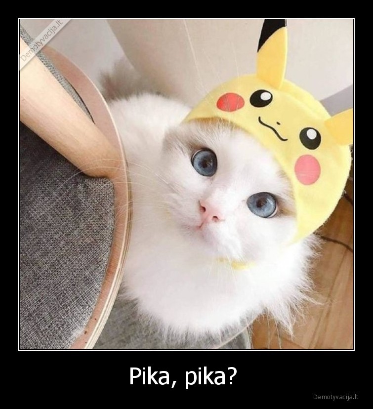 Pika, pika?  - 