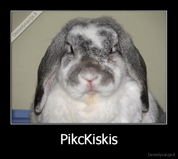 PikcKiskis - 