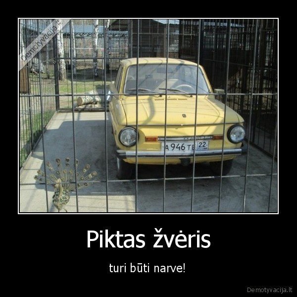 Piktas žvėris - turi būti narve!