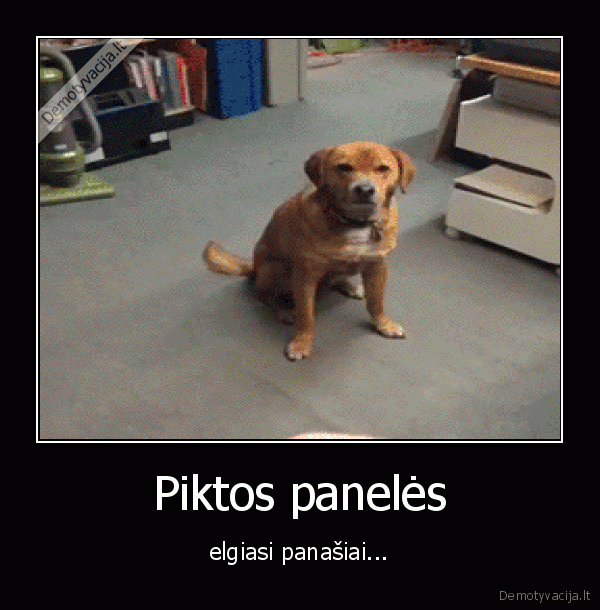 Piktos panelės - elgiasi panašiai...