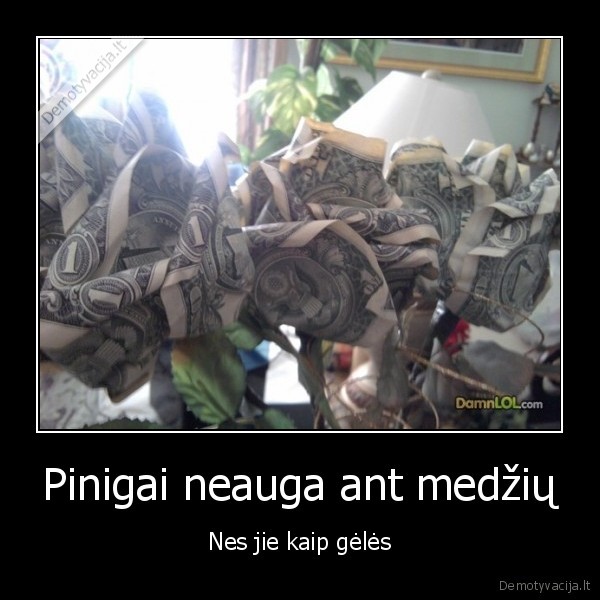 Pinigai neauga ant medžių - Nes jie kaip gėlės