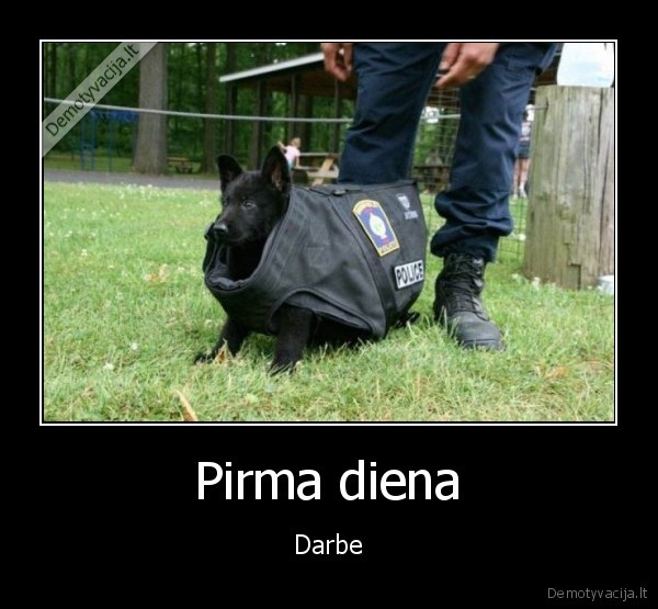Pirma diena - Darbe
