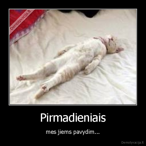 Pirmadieniais - mes jiems pavydim...