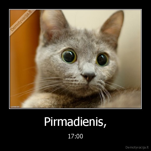 Pirmadienis, - 17:00