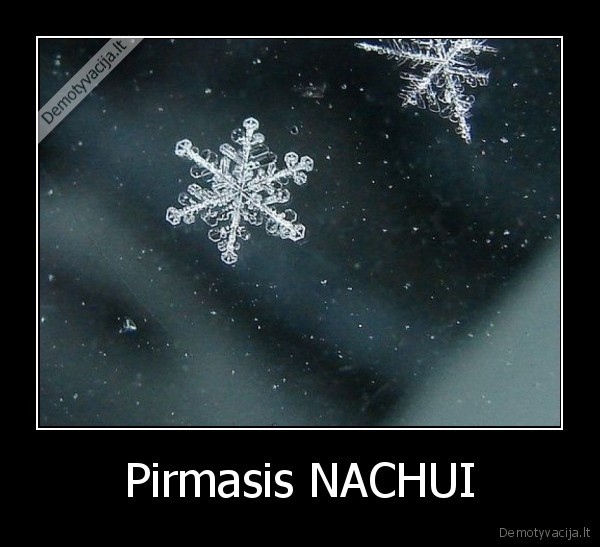 Pirmasis NACHUI - 